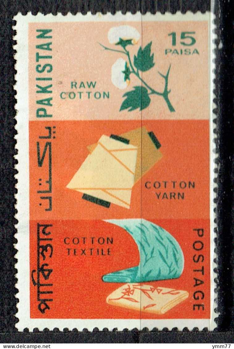 Production Et Exportation : Coton - Pakistan