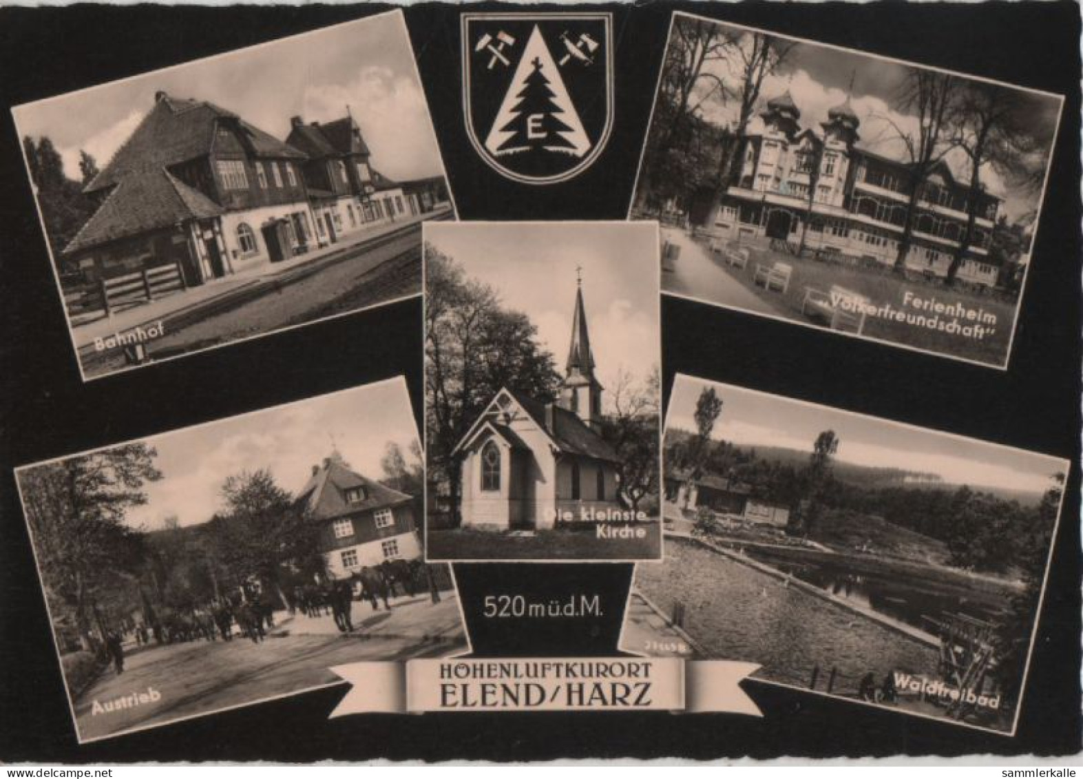 82278 - Elend - U.a. Waldfreibad - 1962 - Halberstadt