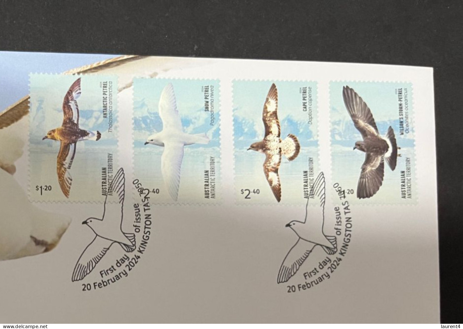 21-3-2024 (3 Y 39) Australia AAT FDC - 2024 - Petrels (birds) - FDC