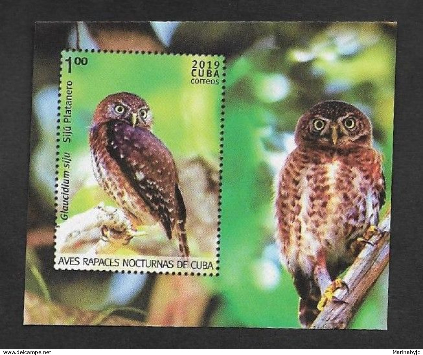 SE)2019 CUBA  FROM THE FAUNA SERIES, NIGHT BIRDS OF PREY OF CUBA, OWL, MEMORY LEAF, MNH - Altri & Non Classificati