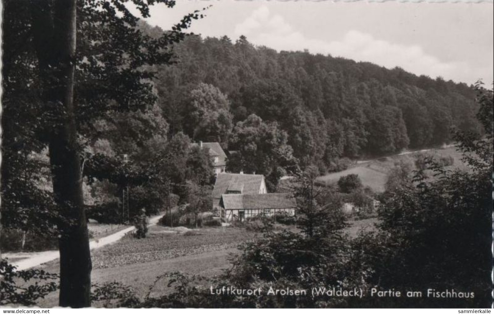 111764 - Bad Arolsen - Partie Am Fischhaus - Bad Arolsen