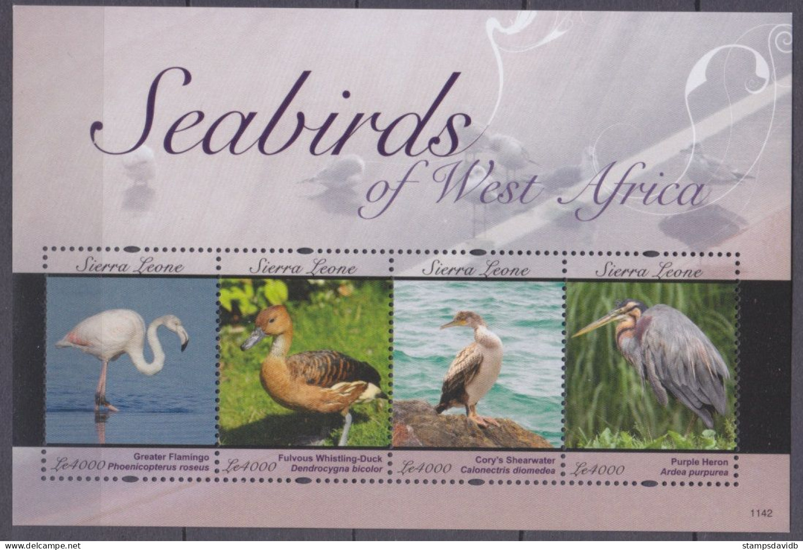 2011 Sierra Leone 5588-5591KL Birds 13,00 € - Albatros