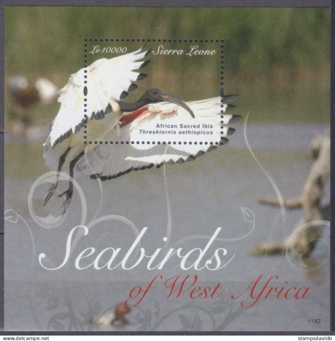 2011 Sierra Leone 5596/B673 Birds 6,50 € - Albatros & Stormvogels