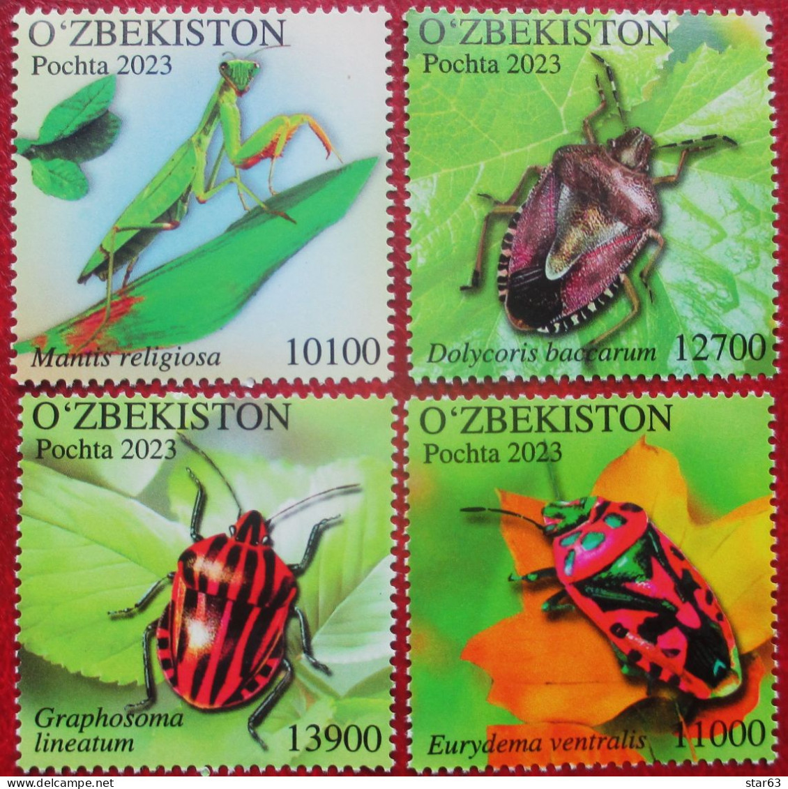 Uzbekistan  2023    Insects  4 V  MNH - Uzbekistan