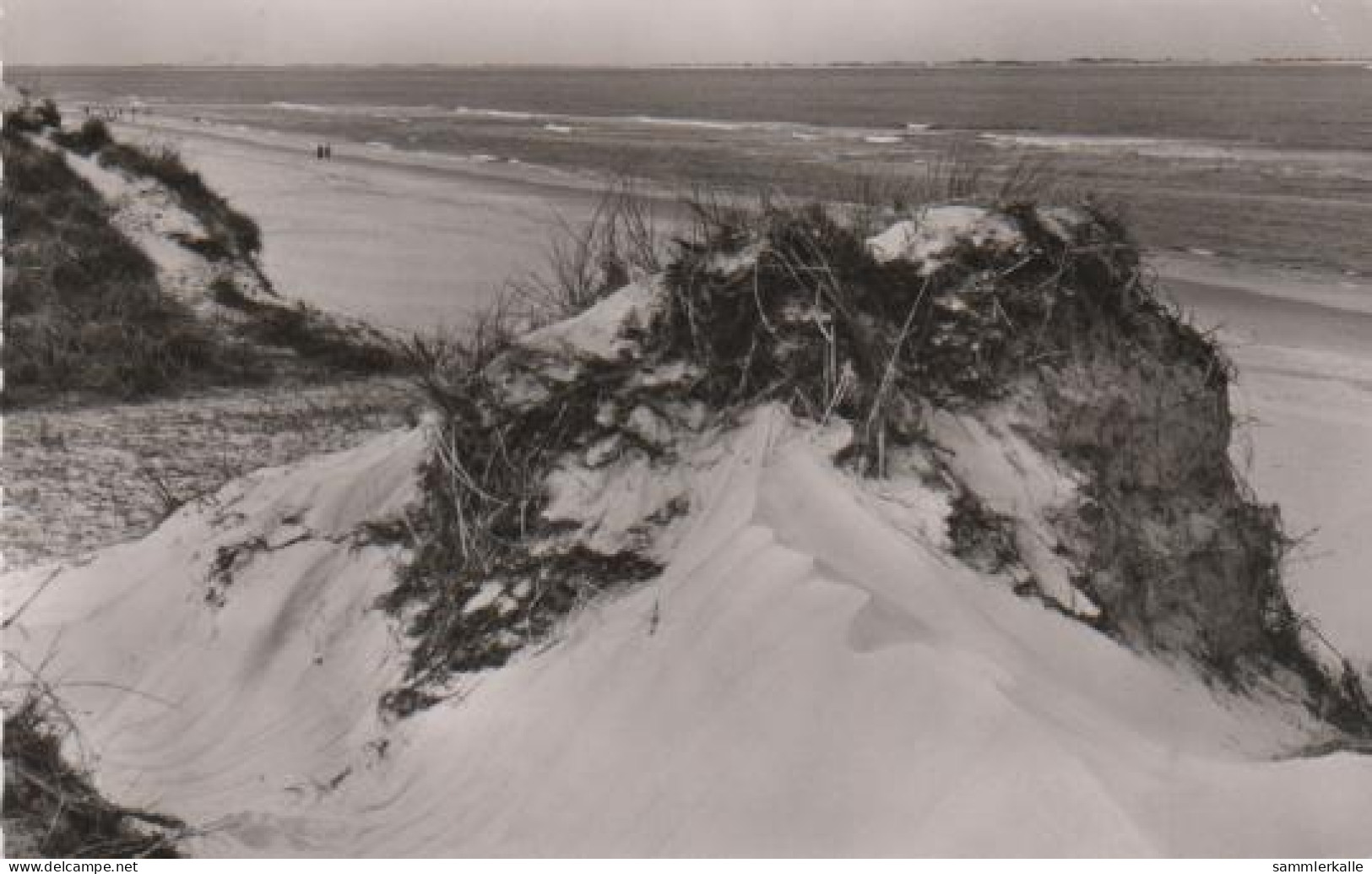 6477 - Langeoog - Dünen Und Strand - 1961 - Langeoog