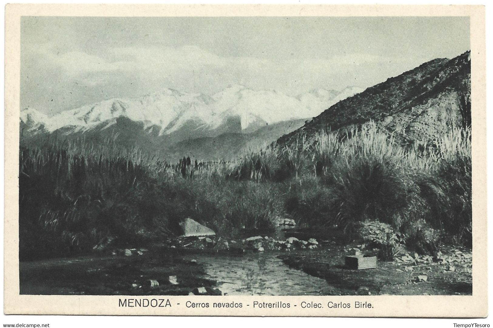 Postcard - Argentina, Mendoza, Cerros Nevados, N°1505 - Argentine