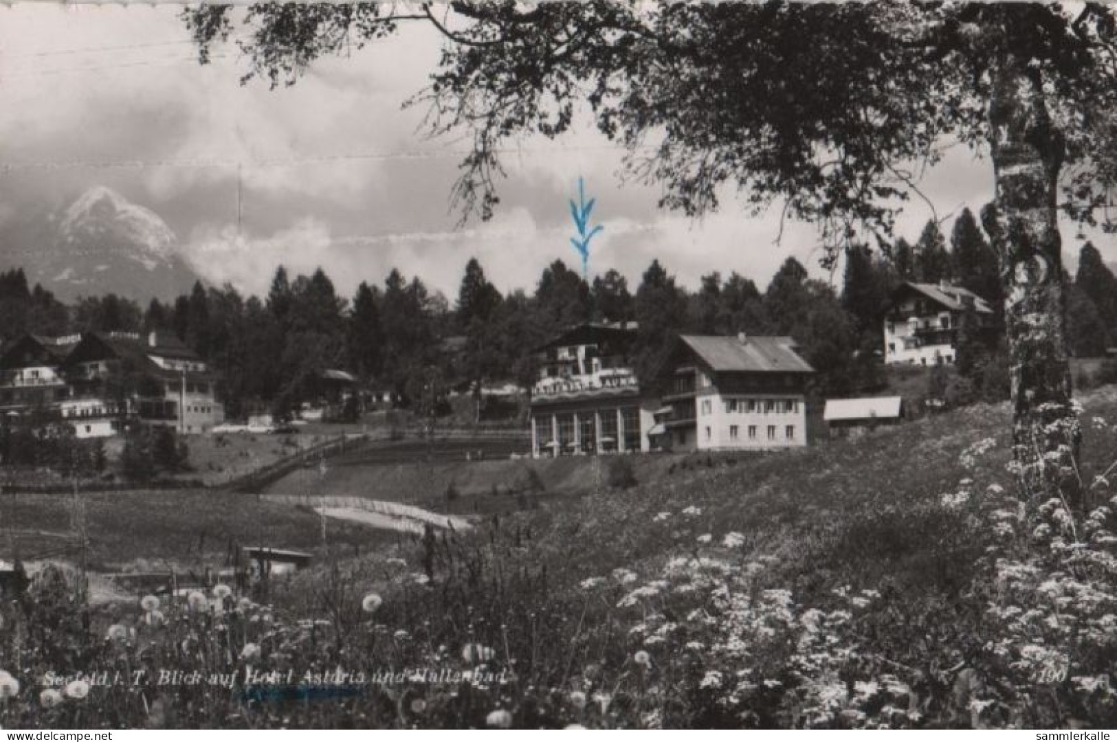 41181 - Österreich - Seefeld - Blick Auf Hotel Astoria - 1955 - Seefeld