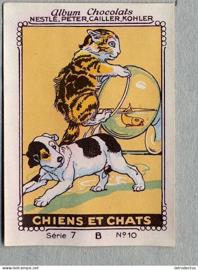 Nestlé - 7B - Chiens Et Chats, Dogs And Cats - 10 - Nestlé