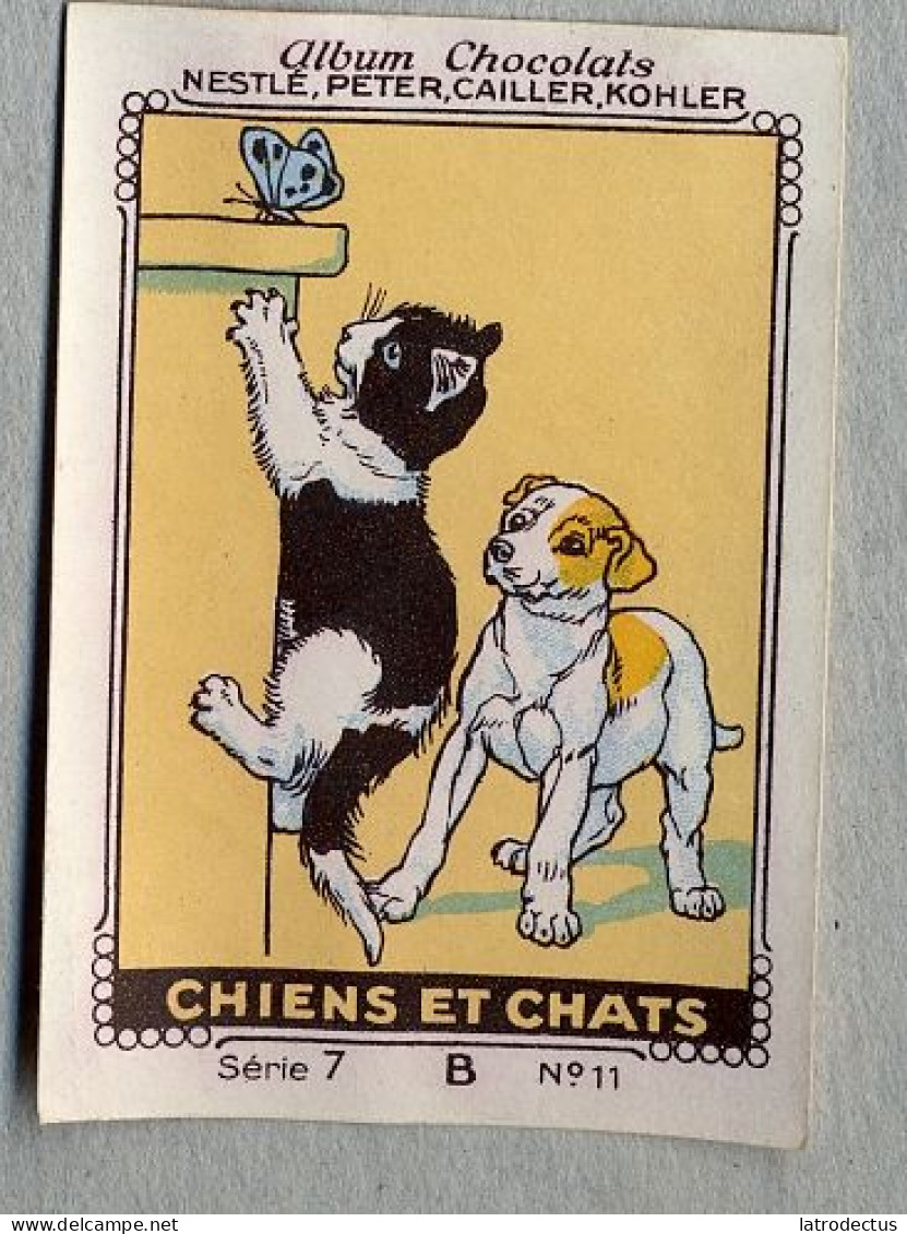 Nestlé - 7B - Chiens Et Chats, Dogs And Cats - 11 - Nestlé