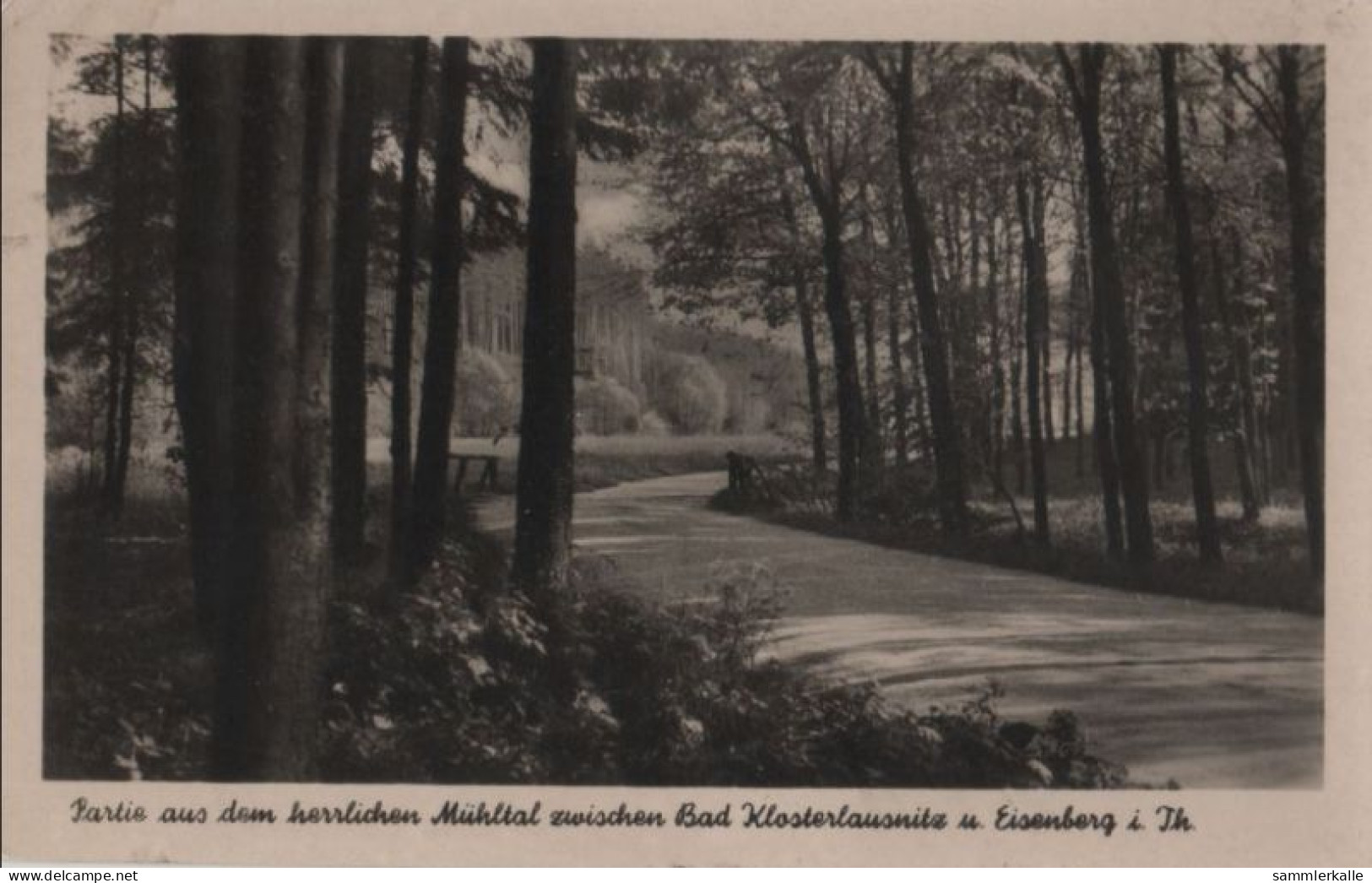 71275 - Bad Klosterlausnitz - Partie Aus Dem Mühltal - 1955 - Bad Klosterlausnitz