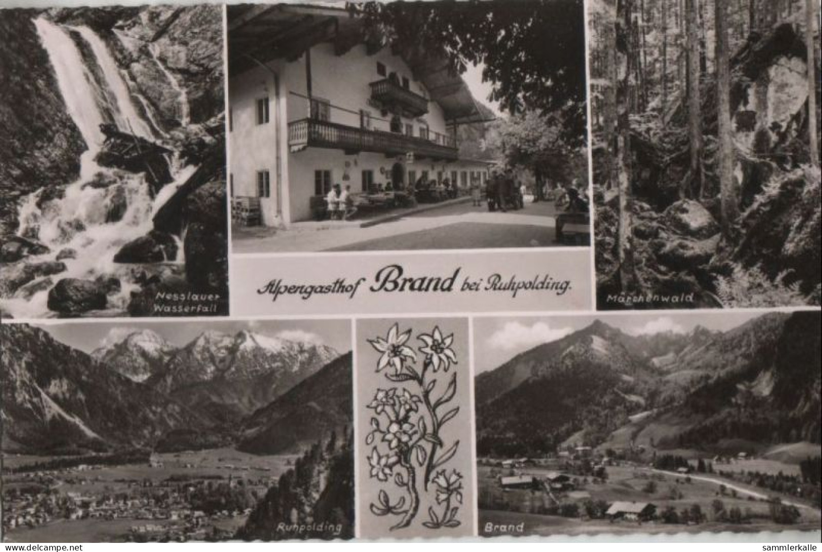 57291 - Ruhpolding - Alpengasthof Brand - Ca. 1960 - Ruhpolding