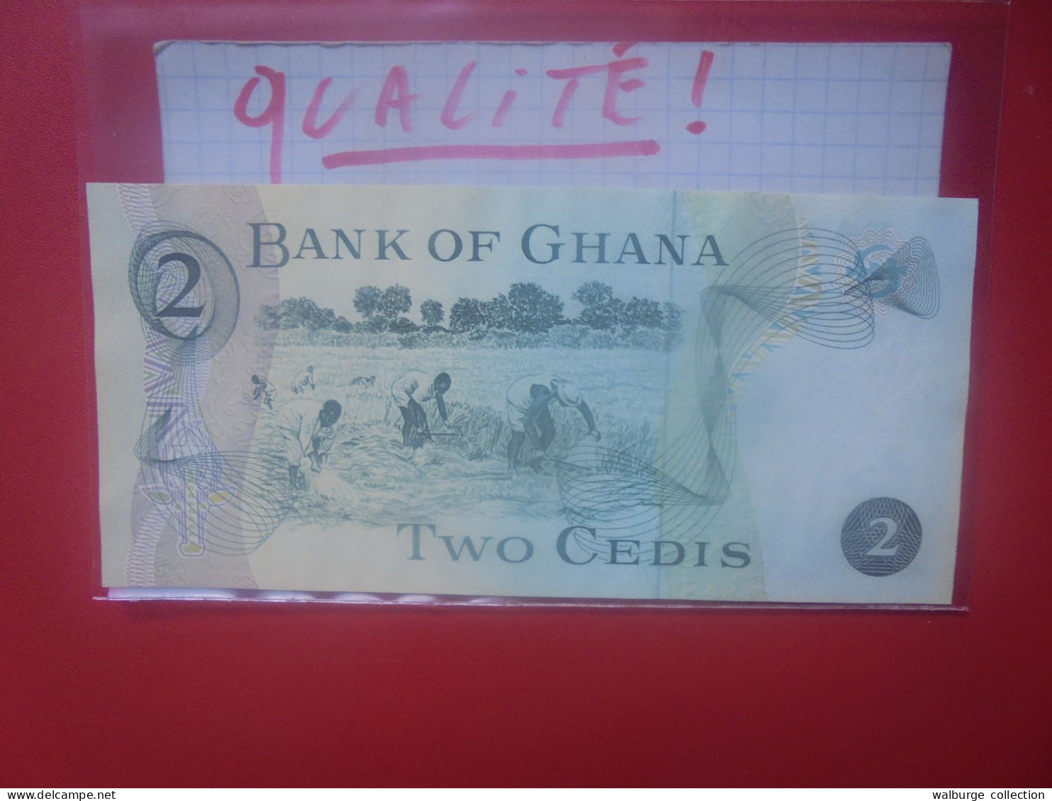 GHANA 2 CEDIS 1977 Peu Circuler Très Belle Qualité (B.33) - Ghana