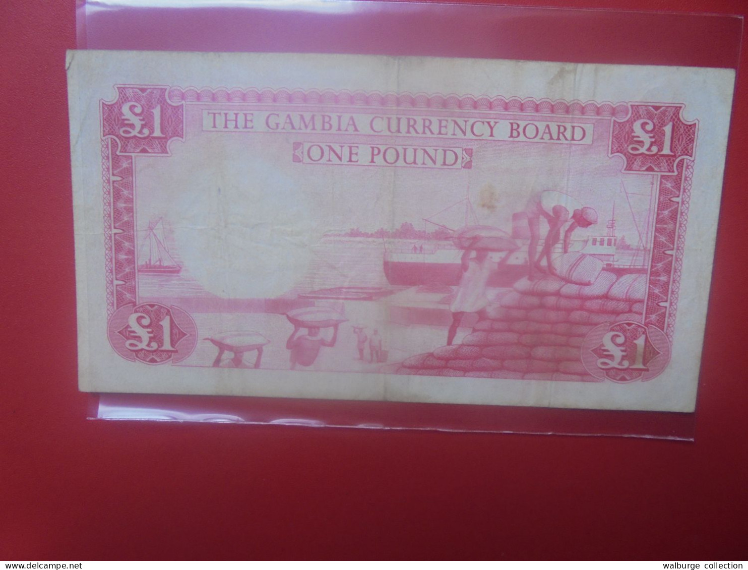GAMBIE 1 POUND 1965-70 Circuler COTES:40-200$ (B.33) - Gambia
