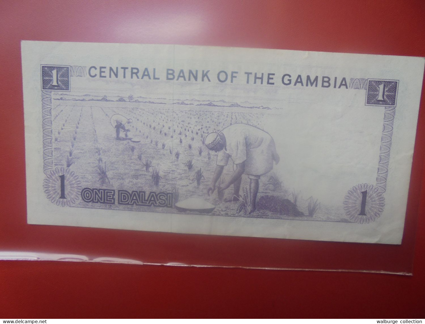 GAMBIE 1 DALASI 1971-87 Signature N°2 Circuler COTES:35-85$ (B.33) - Gambia