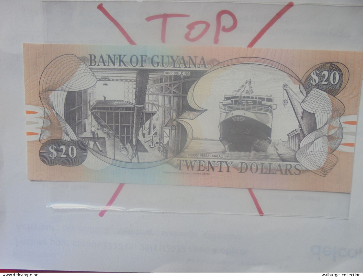 GUYANA 20$ 1989 Neuf (B.33) - Guyana