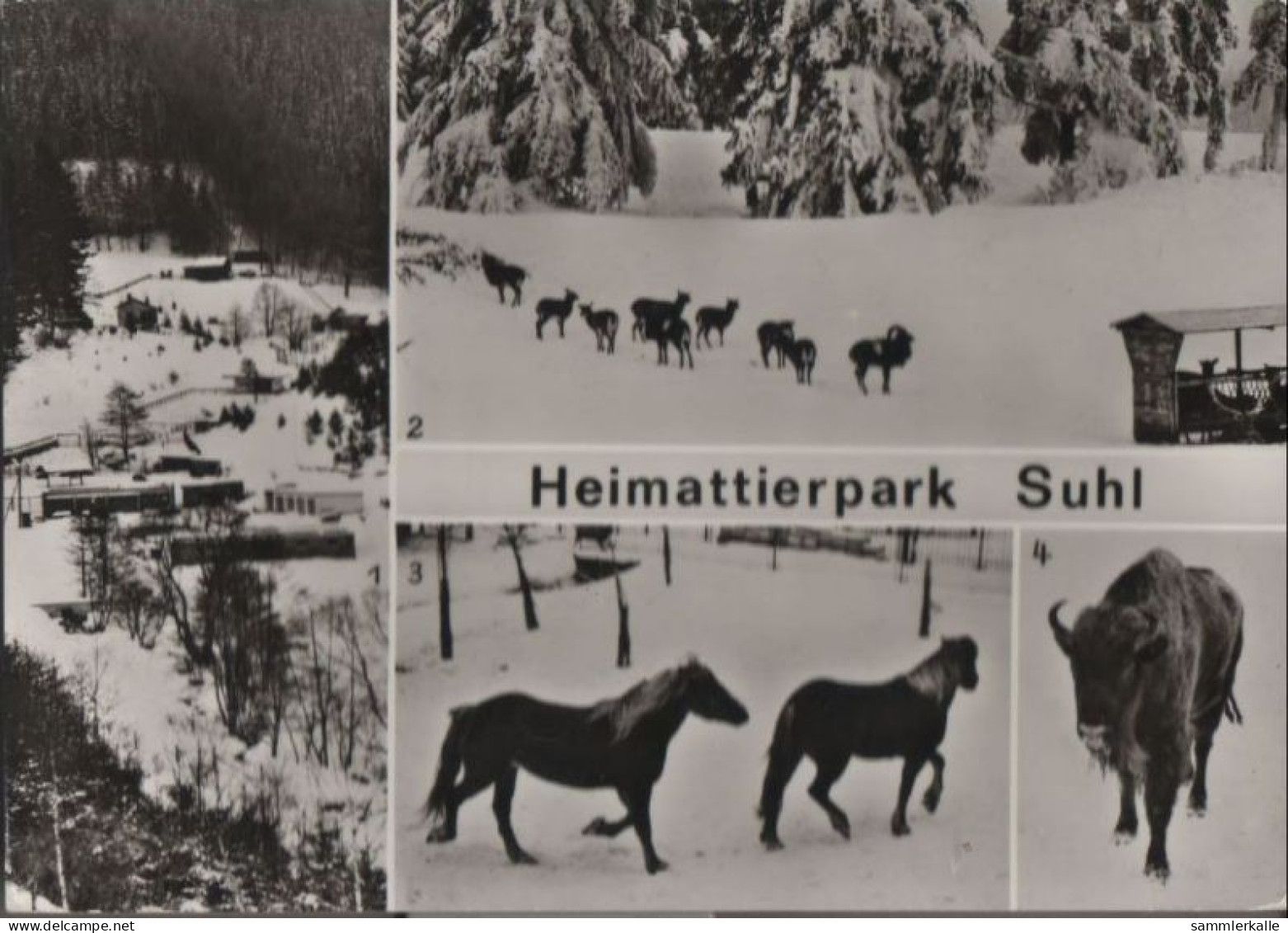 51336 - Suhl - Heimtierpark - 1982 - Suhl