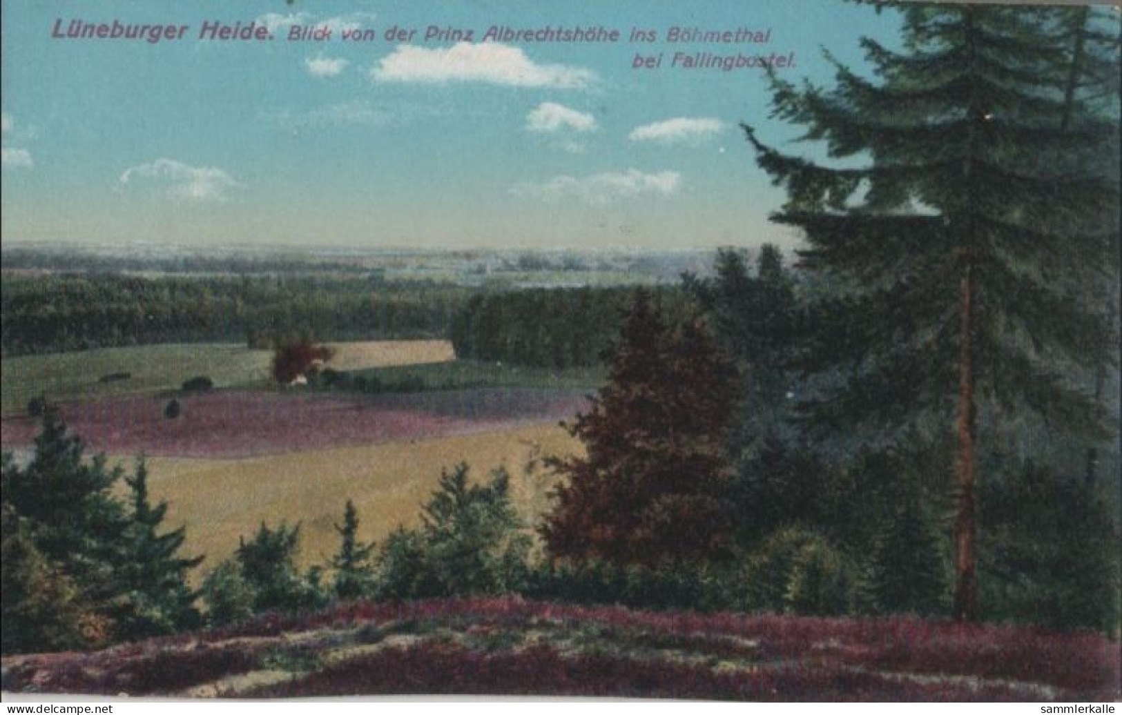 37572 - Lüneburger Heide - Böhmethal - Ca. 1925 - Lüneburger Heide