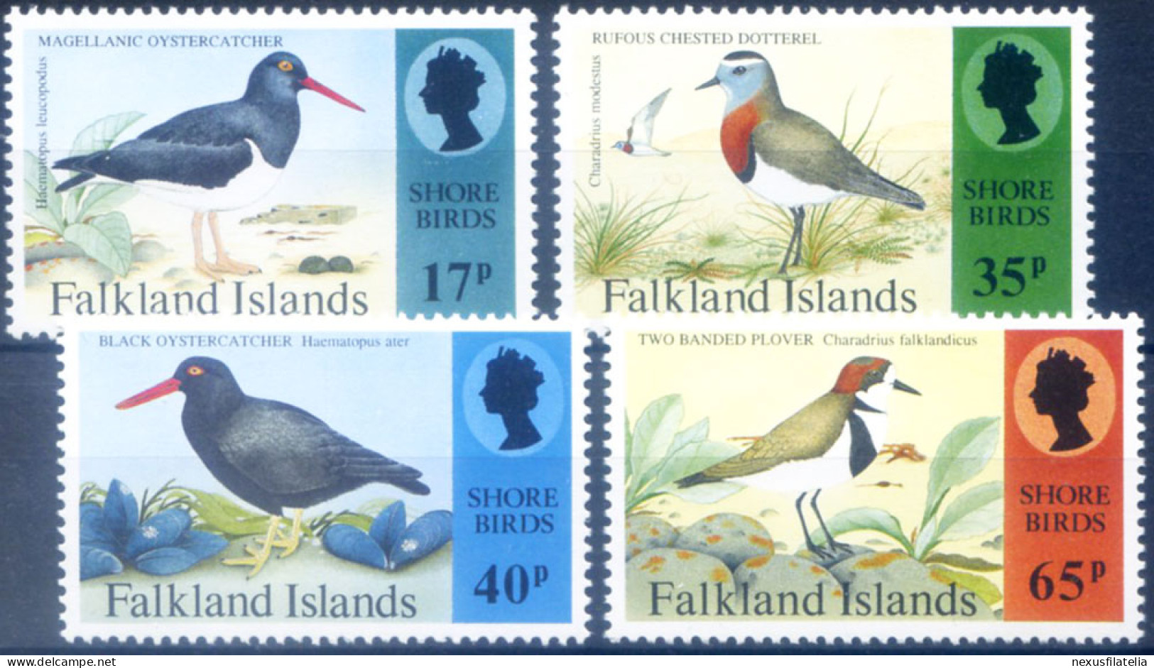 Fauna. Uccelli 1995. - Falklandeilanden