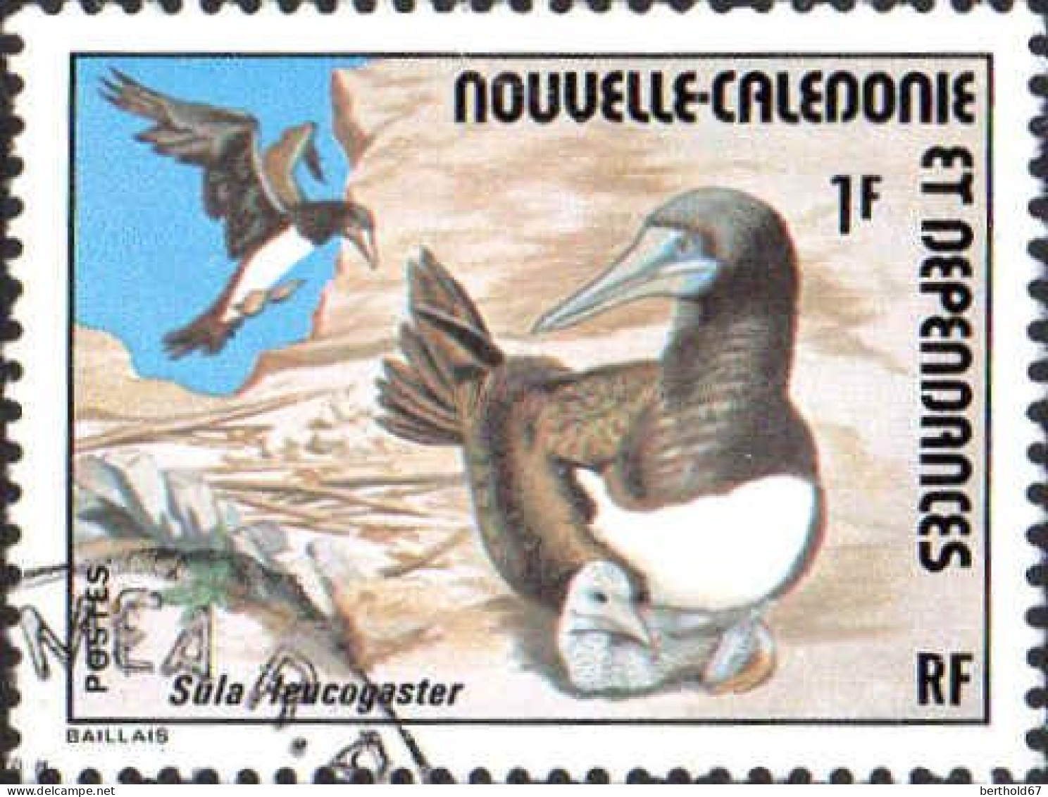 Nle-Calédonie Poste Obl Yv: 398 Mi:573 Sula Leucogaster (Beau Cachet Rond) - Used Stamps