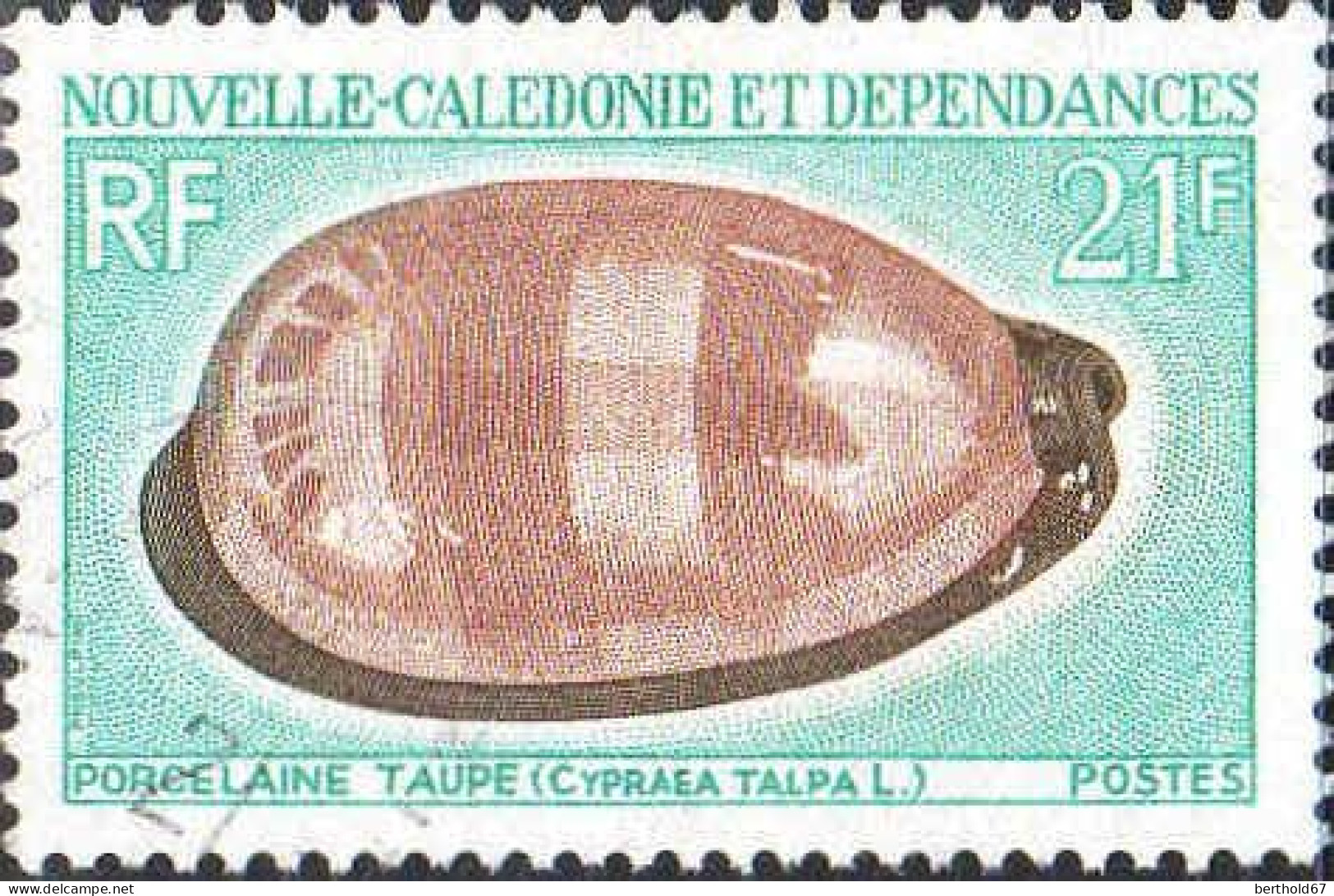 Nle-Calédonie Poste Obl Yv: 371 Mi:487 Porcelaine Taupe Cypraea Talpa L (cachet Rond) - Used Stamps