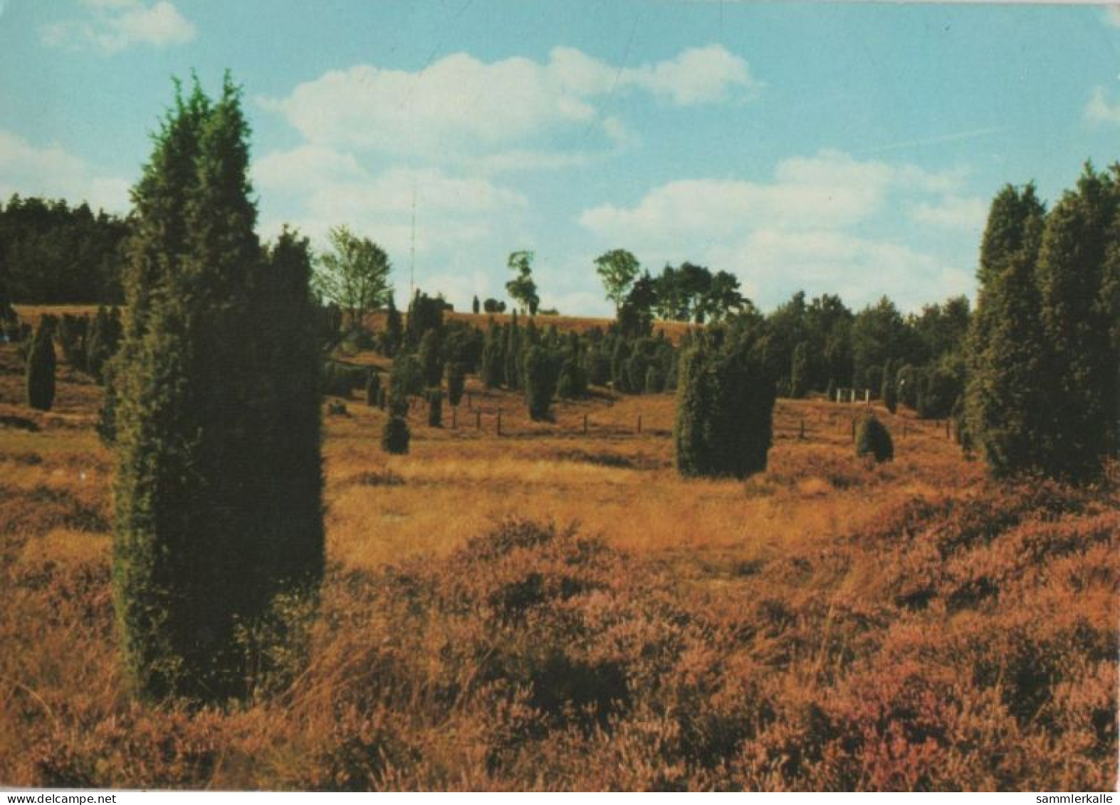 114022 - Hankensbüttel - Bokel - Heideblütental - Gifhorn