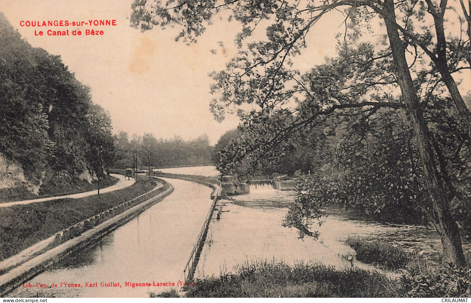 89-COULANGES SUR YONNE-N°T5242-F/0353 - Coulanges Sur Yonne