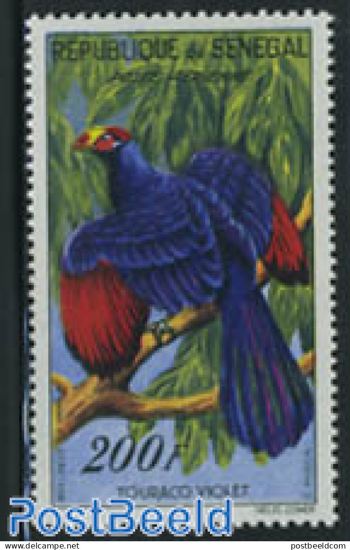 Senegal 1960 200F, Stamp Out Of Set, Mint NH, Nature - Birds - Senegal (1960-...)