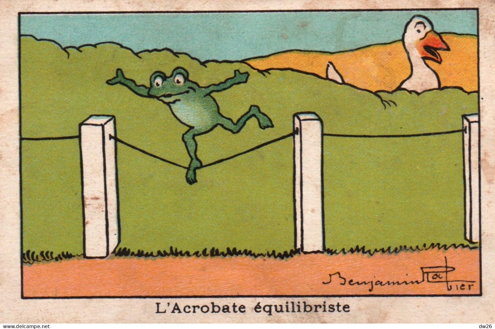 Chromo - Illustration Benjamin Rabier: L'Acrobate équilibriste (Grenouille Et Une Oie) - Andere & Zonder Classificatie