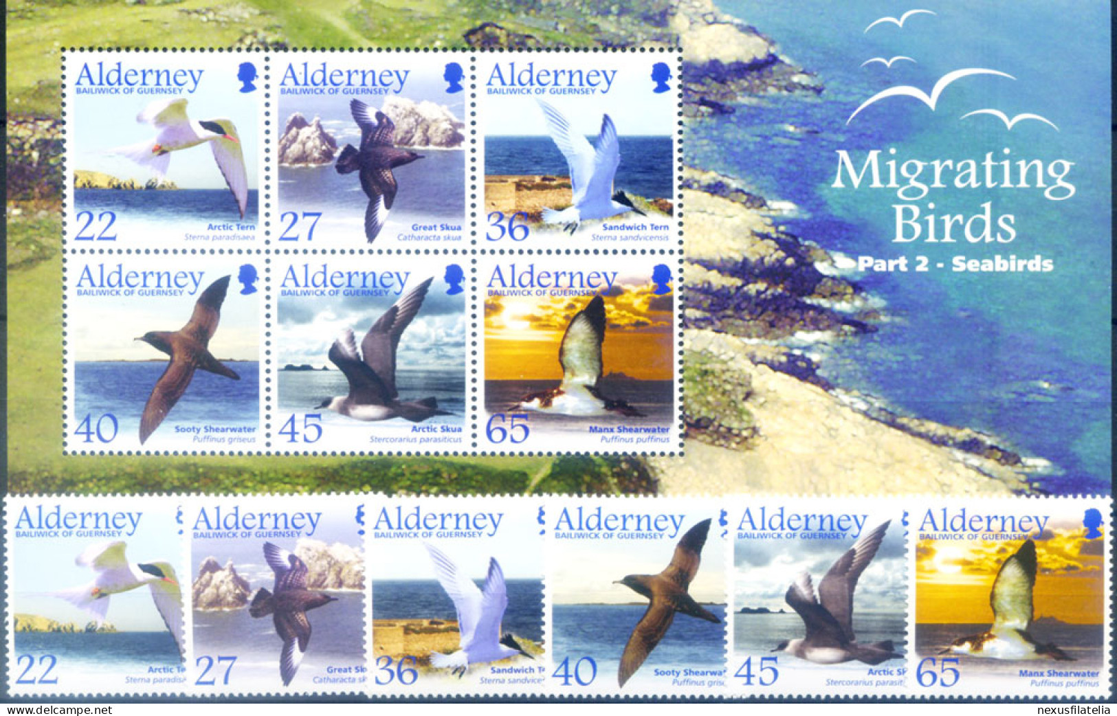 Alderney. Fauna. Uccelli Migratori 2003. - Guernsey