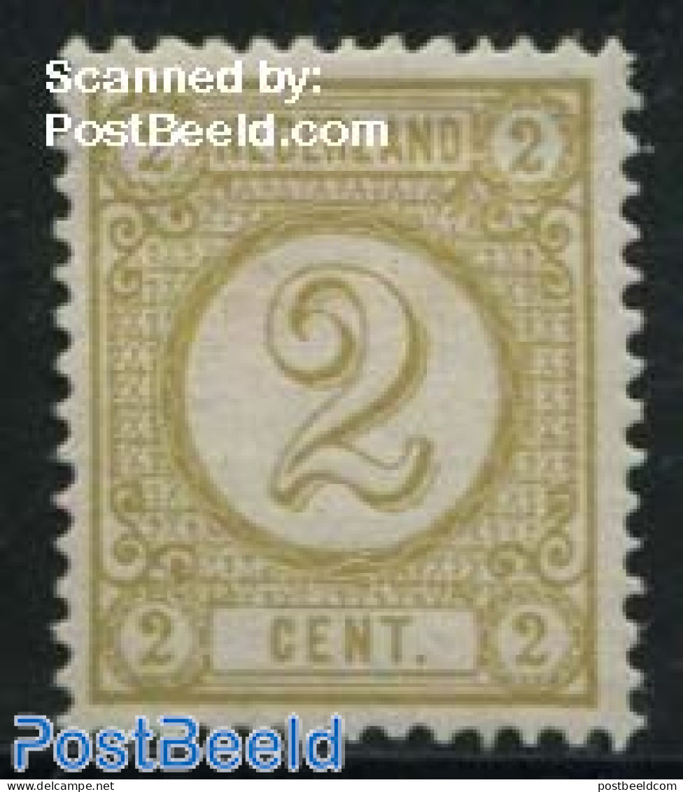 Netherlands 1894 2c Olive Yellow, Stamp Out Of Set, Unused (hinged) - Nuevos