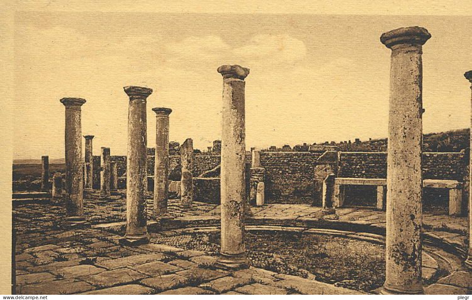 0-DZA05 01 06 - TIMGAD - PETIT MARCHE DE L'EST - Batna