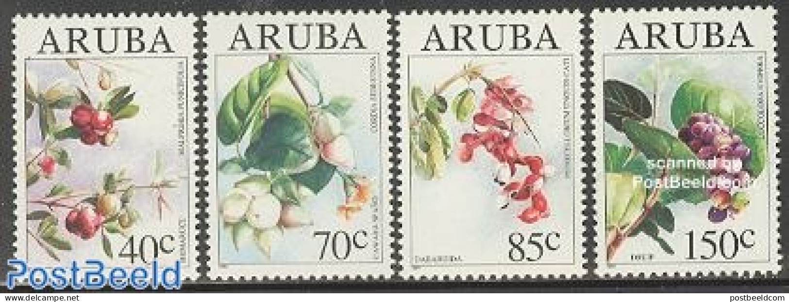 Aruba 1994 Wild Fruits 4v, Mint NH, Nature - Fruit - Fruits