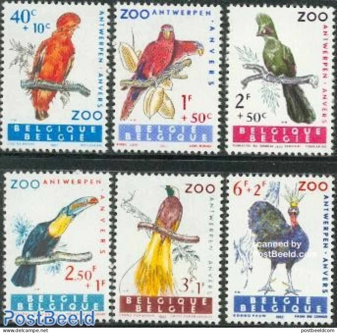 Belgium 1962 Birds 6v, Mint NH, Nature - Birds - Parrots - Toucans - Neufs