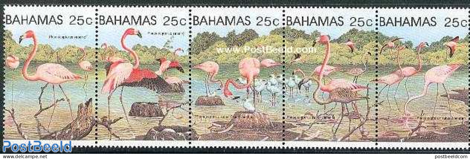 Bahamas 1982 Flamingoes 5v [::::], Mint NH, Nature - Birds - Flamingo - Autres & Non Classés