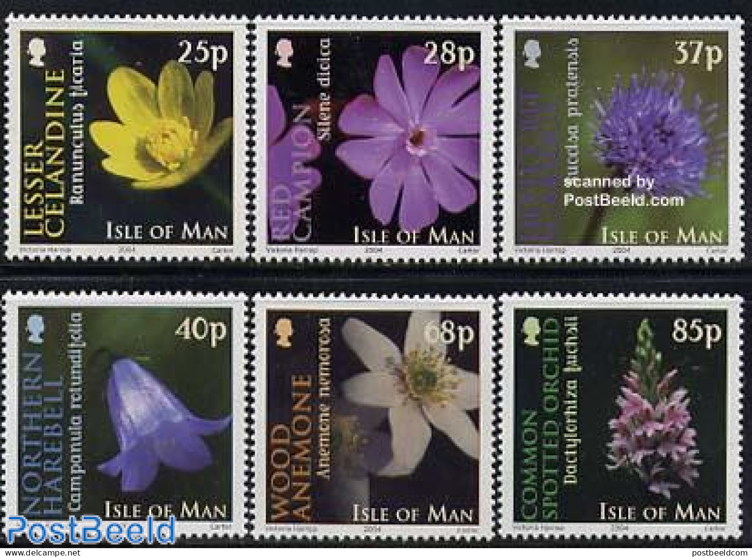 Isle Of Man 2004 Flowers 6v, Mint NH, Nature - Flowers & Plants - Man (Eiland)