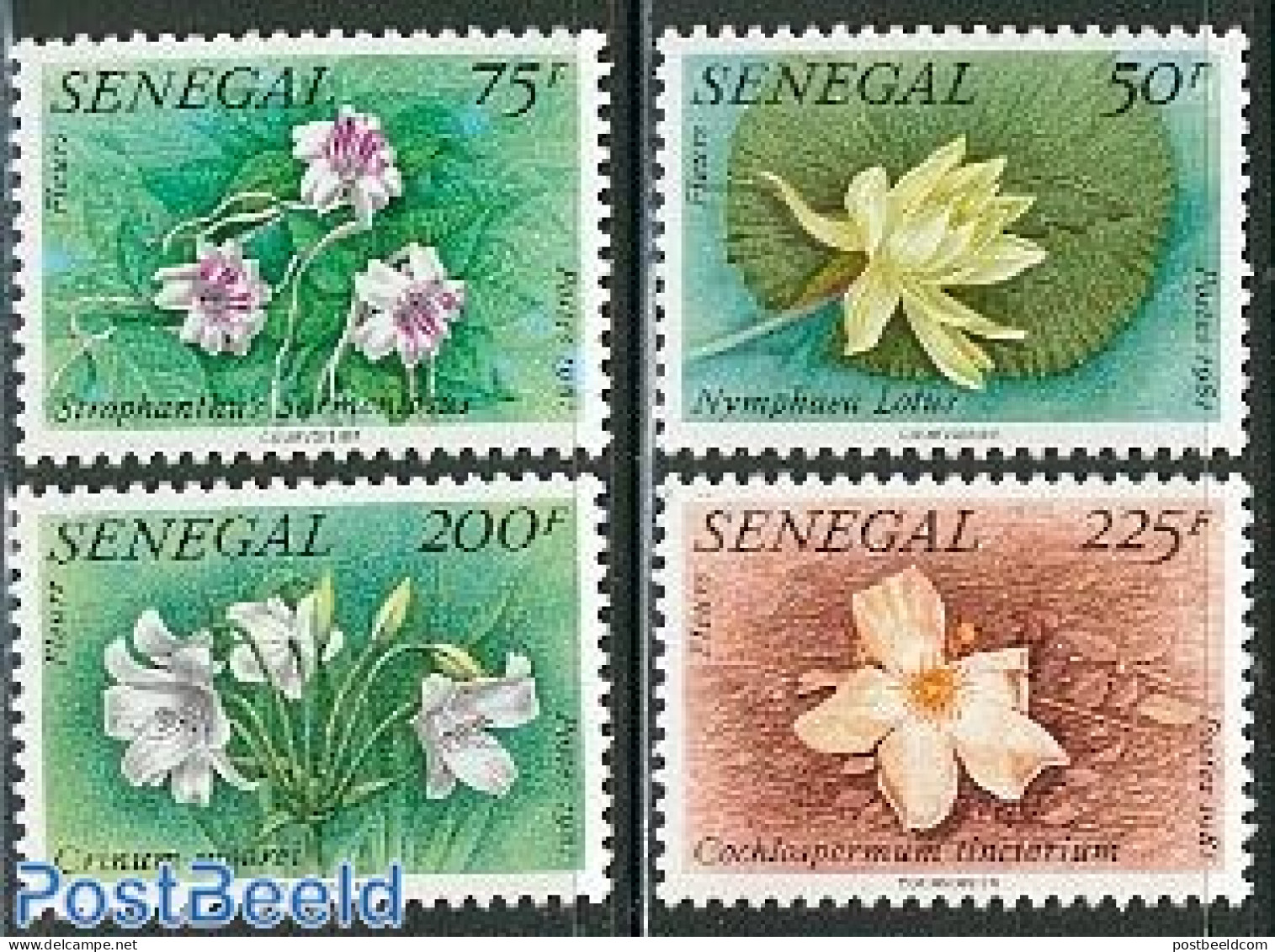 Senegal 1982 Flowers 4v, Mint NH, Nature - Flowers & Plants - Senegal (1960-...)