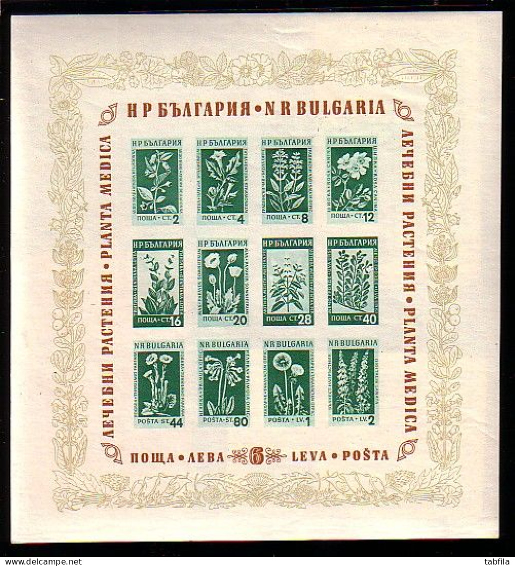 BULGARIA - 1951,1952,1953,1954,1955,1956,1957,1958,1959,1960,1961 - full comp. Mi 774 / 1281 - MNH