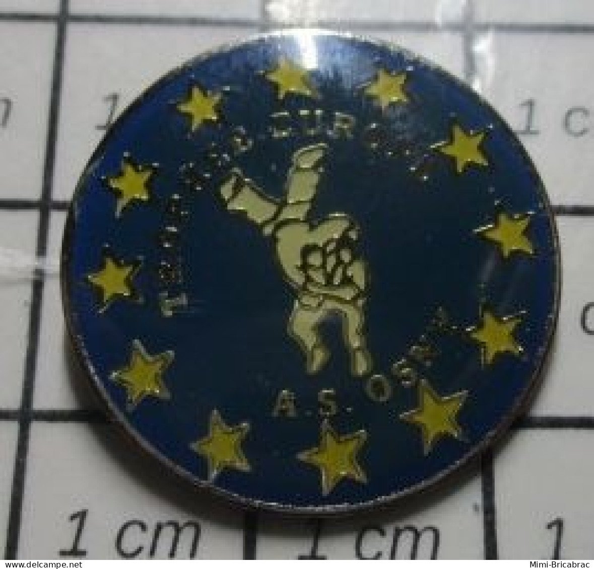 511c Pin's Pins / Beau Et Rare / SPORTS / CLUB JUDO A.S. OSNY - Judo