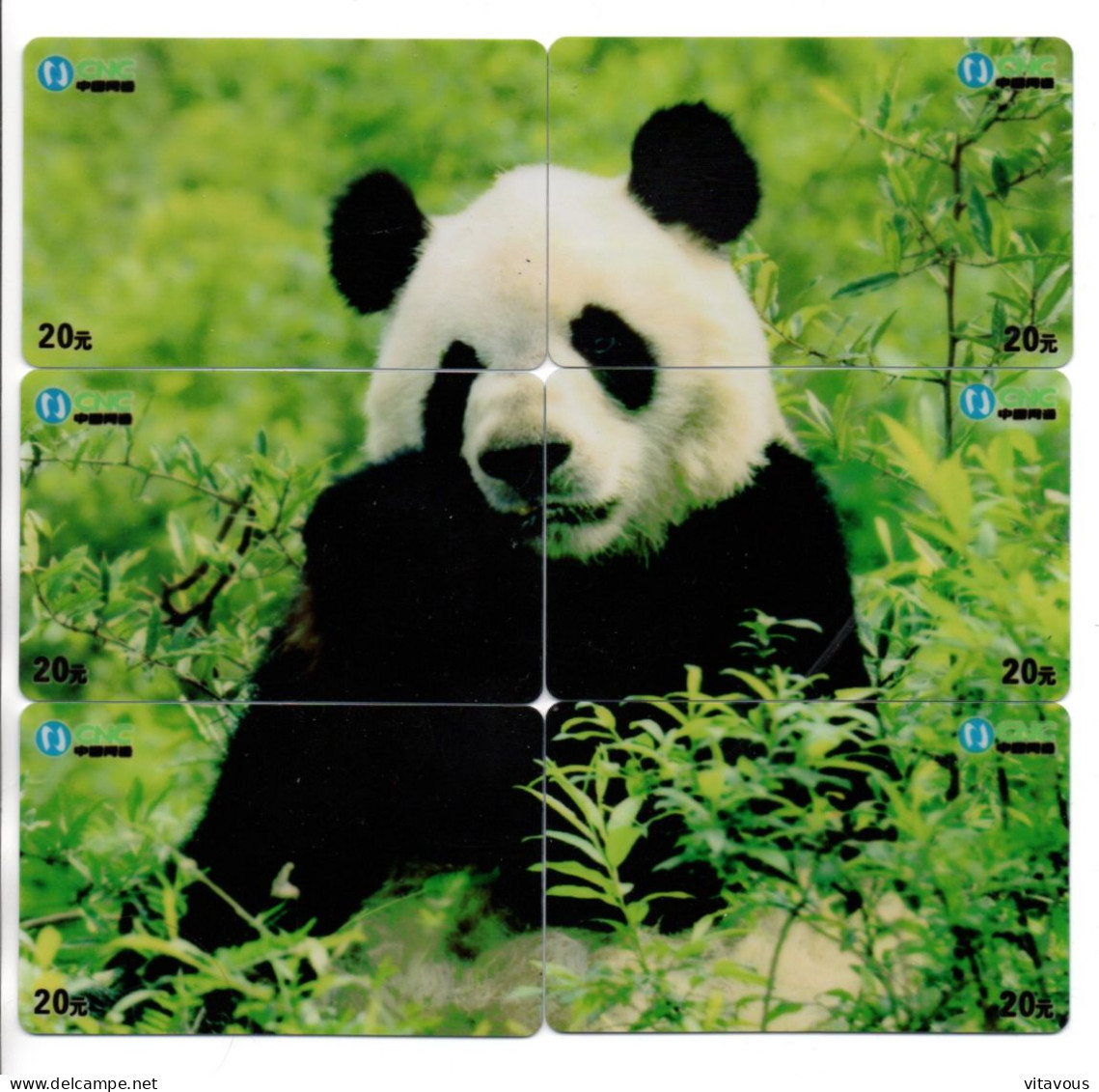 PANDA Puzzle 6 Télécartes Chine China Phonecard  Telefonkarte (P 60) - China