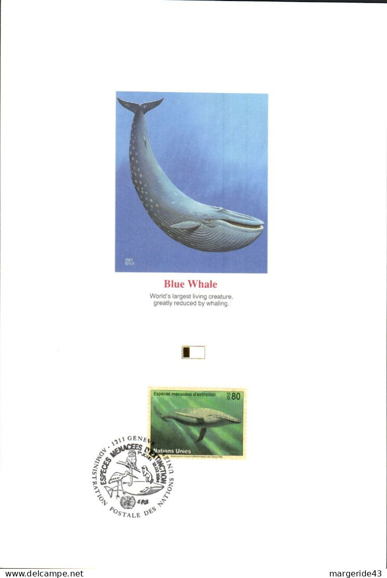 DOC 1994 BALEINE BLEUE - Dauphins