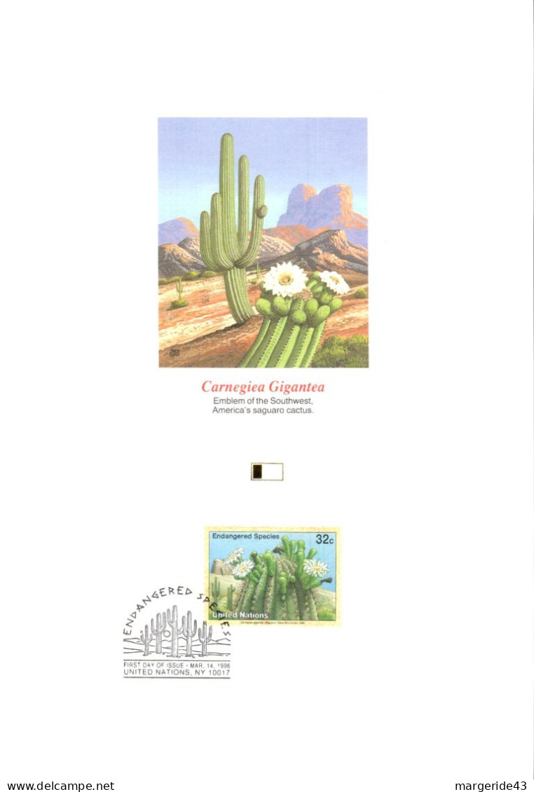 DOC 1996 CACTUS SAGUARO - Cactusses