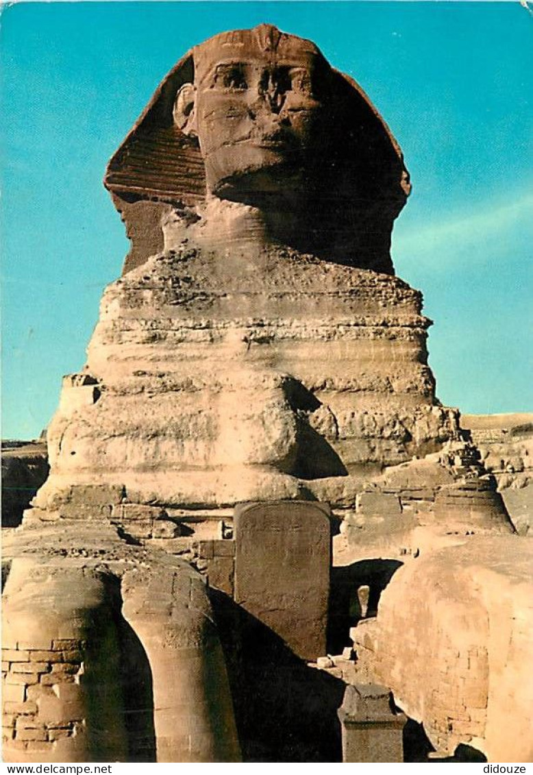 Egypte - Gizeh - Giza - The Great Sphinx Of Giza - Le Grand Sphinx De Gizeh - Voir Timbre - CPM - Voir Scans Recto-Verso - Guiza