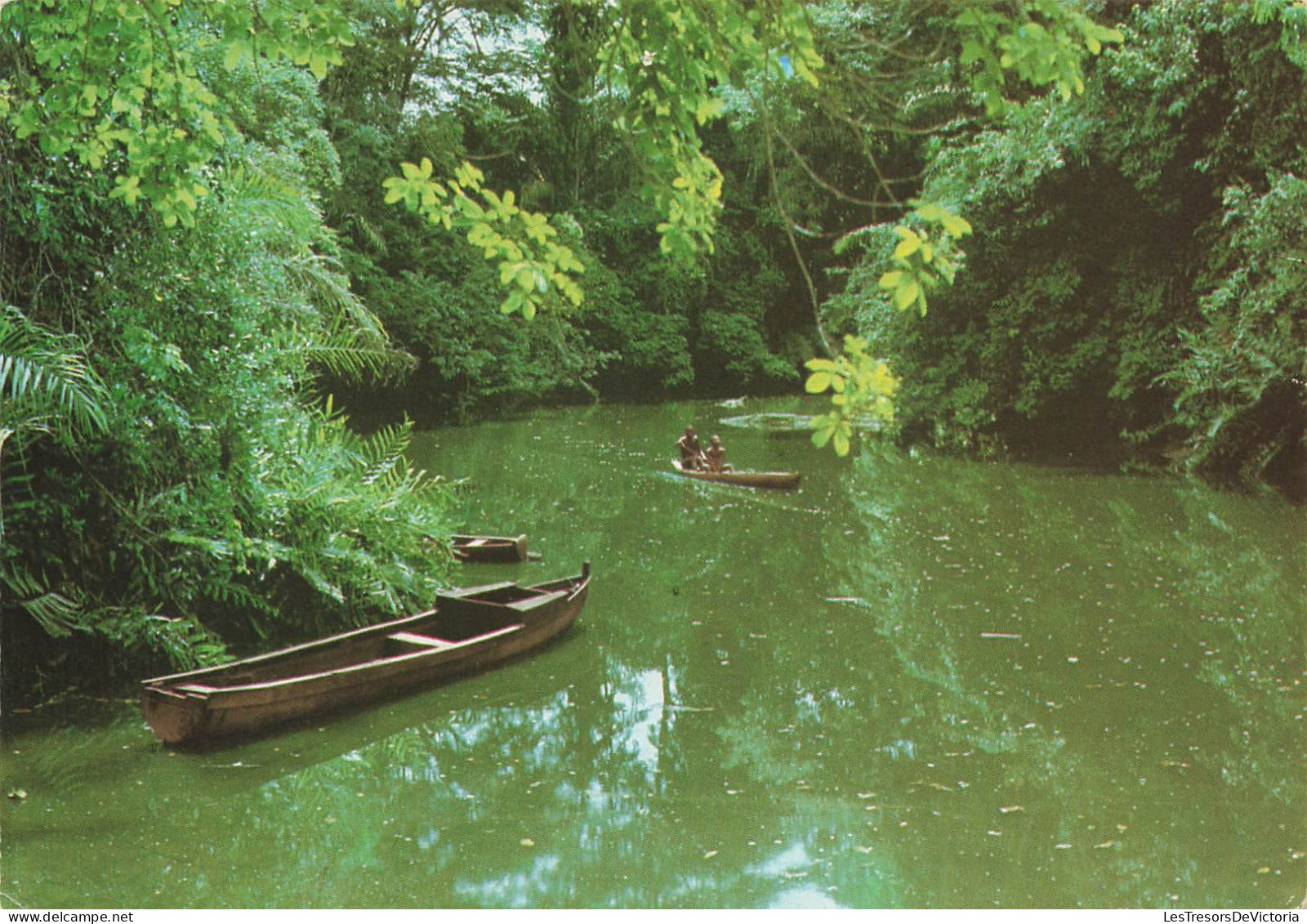 GABON - Images Du Gabon - Promenade En Pirogue - Colorisé - Carte Postale - Gabun