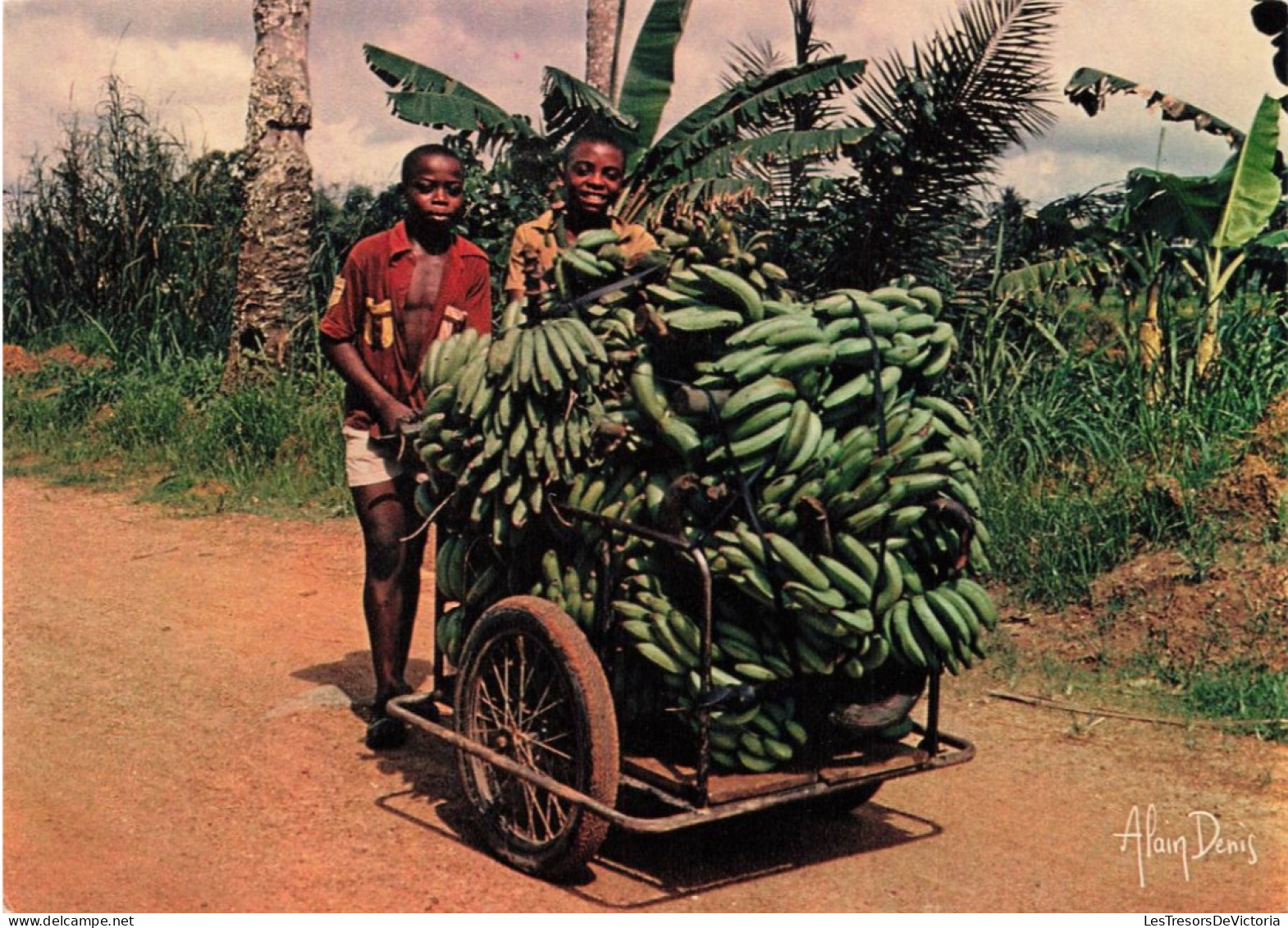 GABON - Retour De La Bananeraie - Lumières D'Afrique - Colorisé - Carte Postale - Gabon