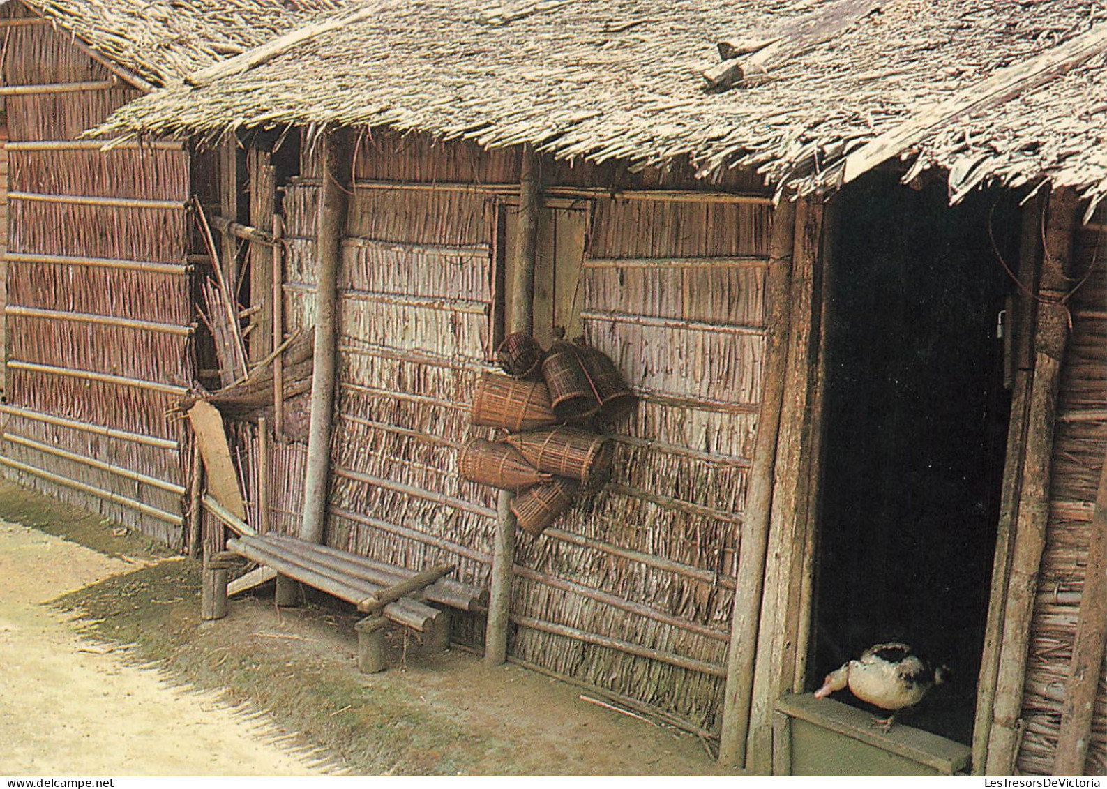 GABON - Case Traditionnelle Et Nasses - Woleu Ntem - Colorisé - Carte Postale - Gabon