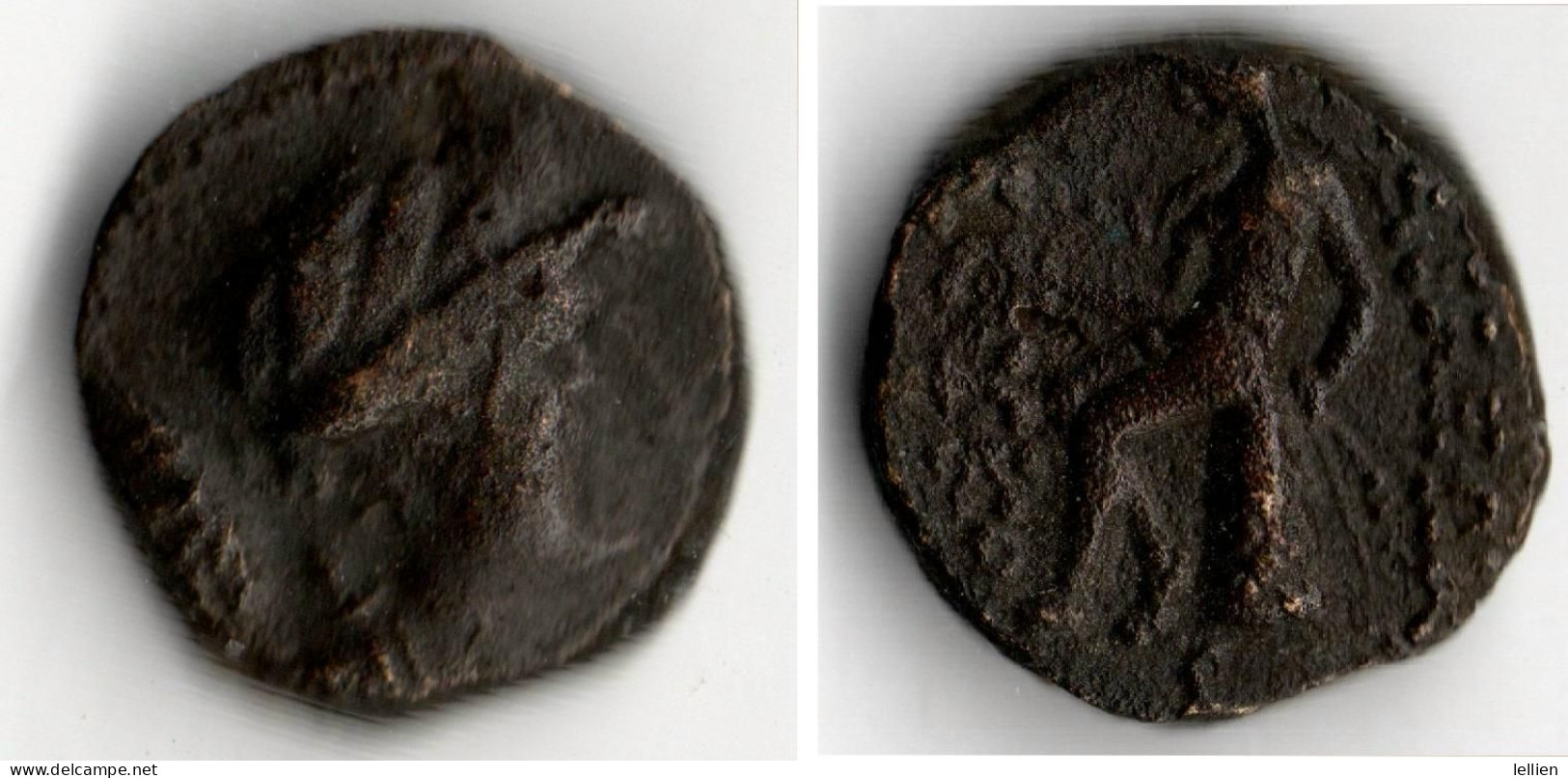 SELEUCOS III (226 223 Av JC) APOLLON ASSIS - Grecques