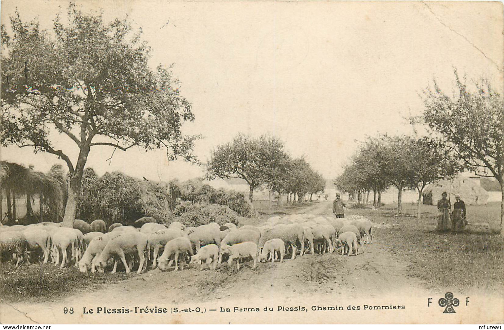 94* PLESSIS TREVISE  Ferme Du Plessis – Chemin Des Pommiers – Moutons    RL14.0467 - Le Plessis Trevise