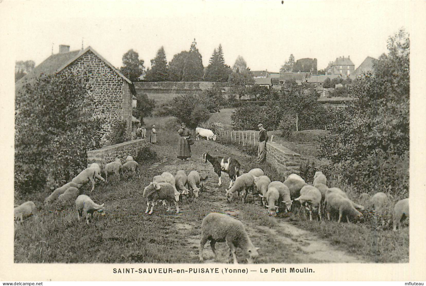 89* ST SAUVEUR EN PUISAYE Le Petit Moulin – Moutons        RL14.001489 - Saint Sauveur En Puisaye