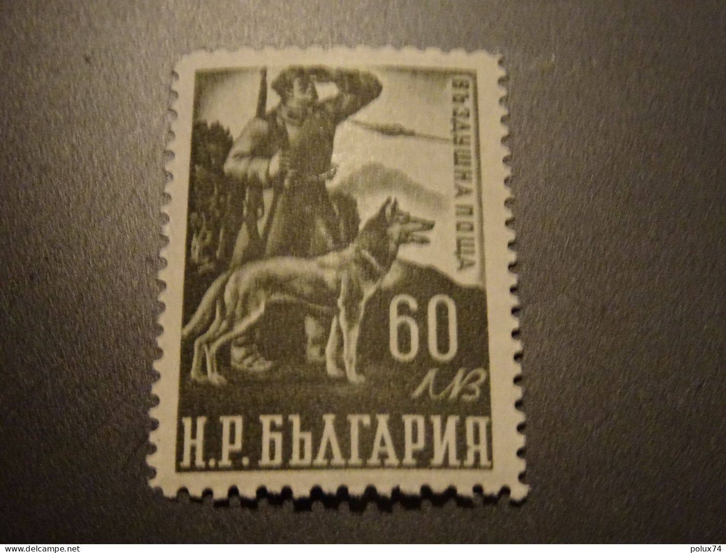 BULGARIE 1949 Poste Aérienne Neuf** MNH - Poste Aérienne