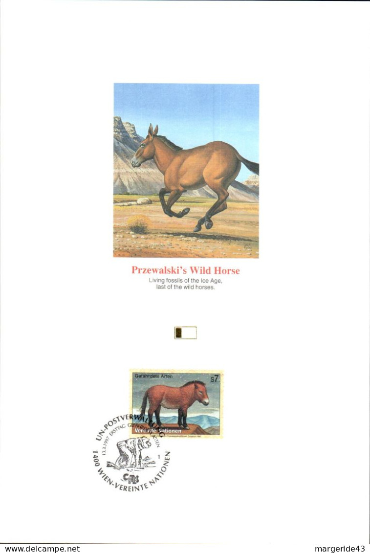 DOC 1997 CHEVAL DE PREZWALSKI - Horses
